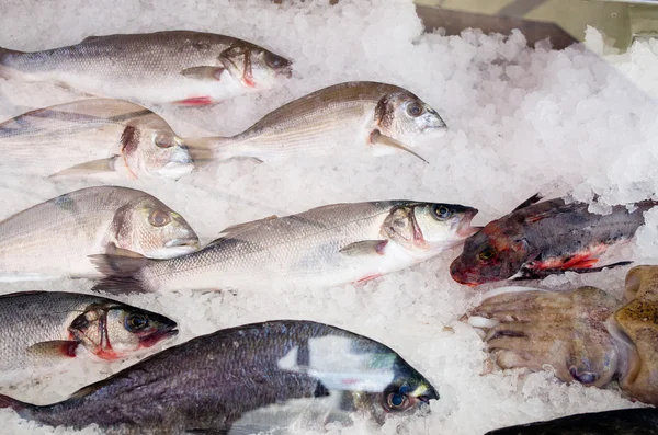 Peces en el mercado —  Fotos de Stock