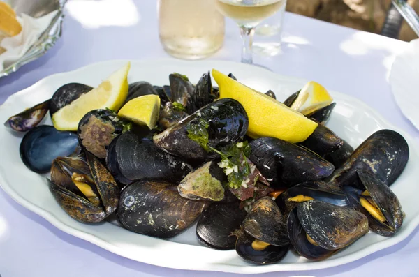 Fresh mussels — Stock Photo, Image