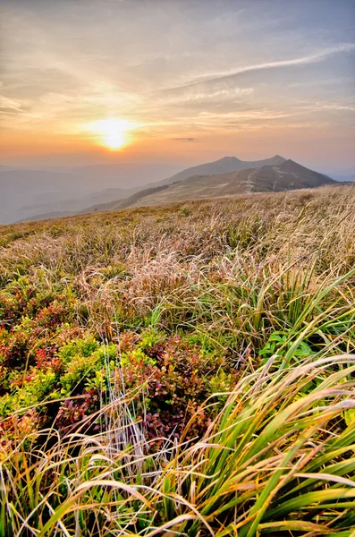 Montagne carpatiche — Foto Stock