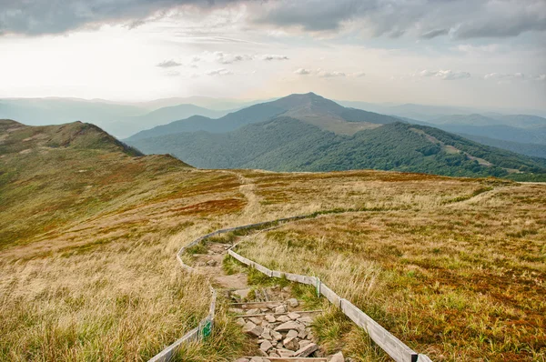 Road in the mountains — Stock Photo, Image