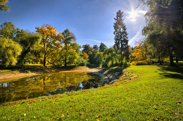 Park med damm under hösten — Stockfoto