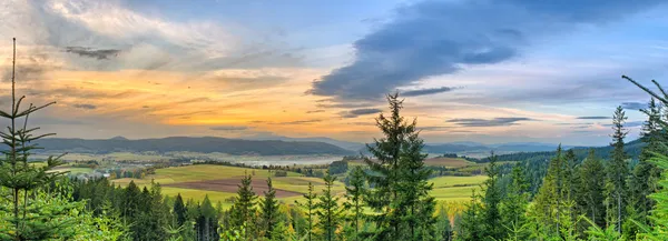 Herbstpanorama mit Wald — Stockfoto