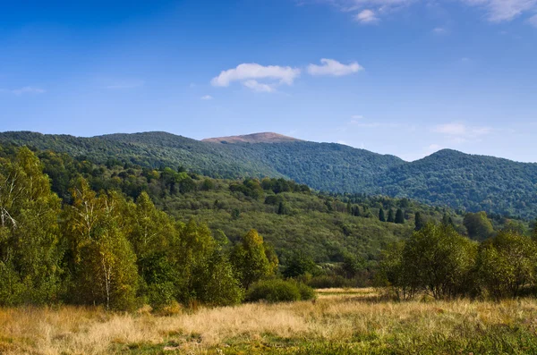 Bellissimo autunno a Bieszczady montagne — Foto Stock