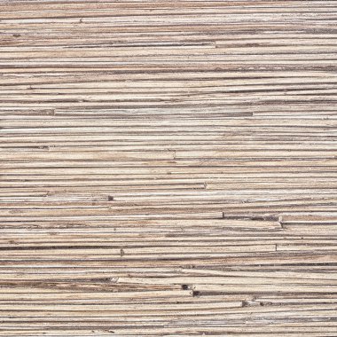 Javier aguirre zaragoza