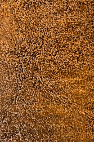 Texture cuir marron — Photo