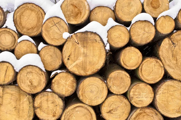 Stack of firewood — Stock Photo, Image