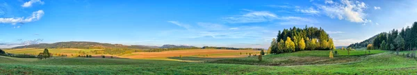 Długo panorama z trochę lasu — Zdjęcie stockowe