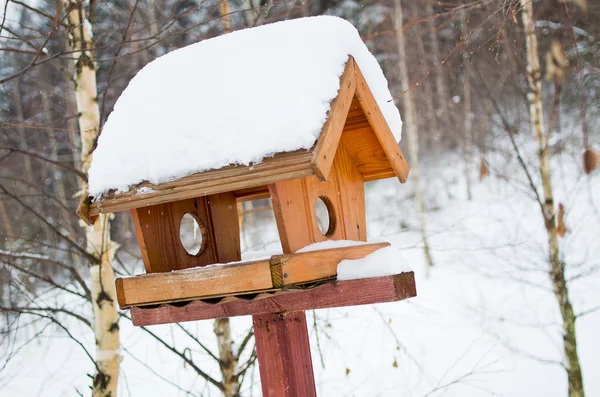 Bird feeder — Stock Photo, Image