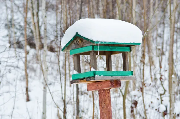 Mangeoire pour oiseaux — Photo