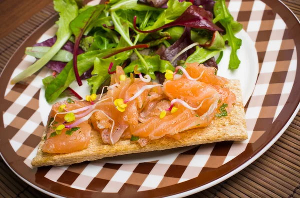 Sandwich with gravlax salmon — Stock Photo, Image