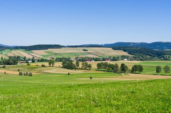 Jordbruks landskap — Stockfoto