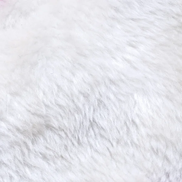 白い毛皮のテクスチャ — ストック写真