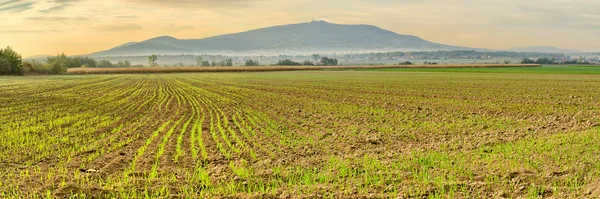 Panorama s pole a sleza mountain, Polsko — Stock fotografie