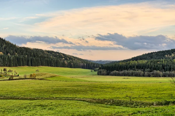 Resumen cubos verdes suaves como telón de fondo