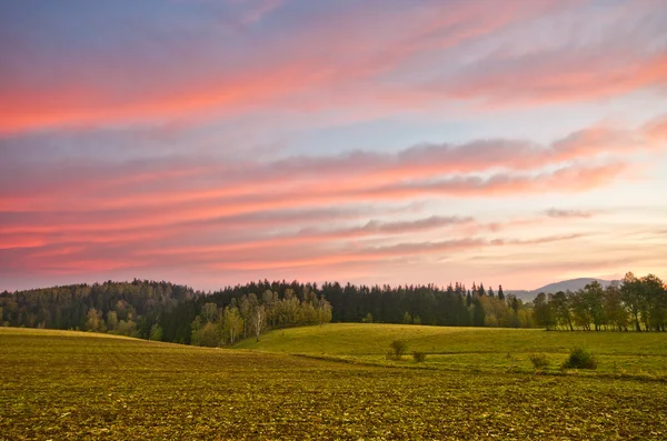 Paesaggio in fattoria durante la mattina presto — Foto Stock