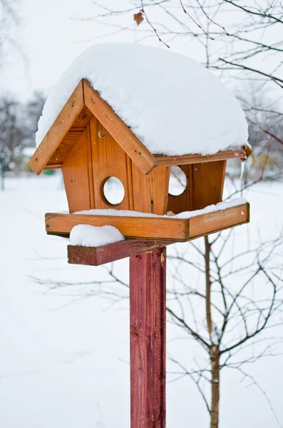 Vogelfutter — Stockfoto