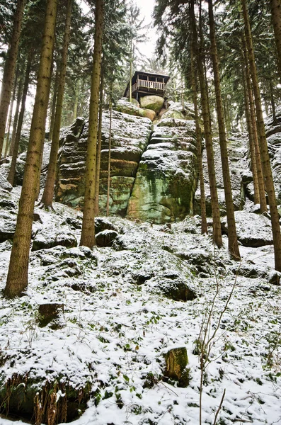 Rifugio nella foresta durante l'inverno — Foto Stock