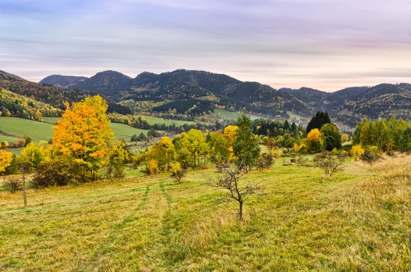 Herbstliche Landschaft — Stockfoto