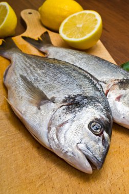 Eşkine balıklar hazırlık için hazır