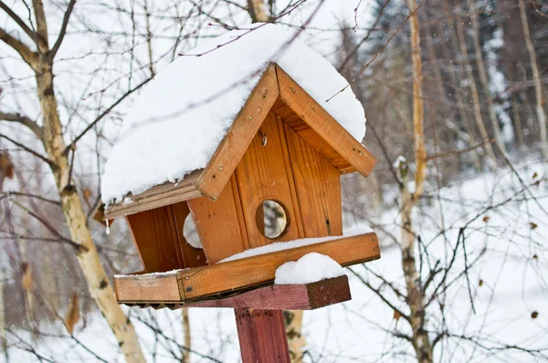 Vogelfutter — Stockfoto