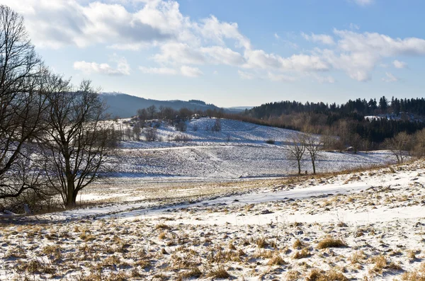 Vista de inverno — Fotografia de Stock