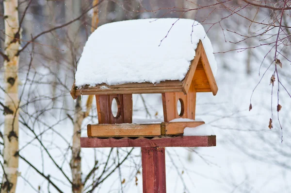 Vogelvoederbedrijf — Stockfoto