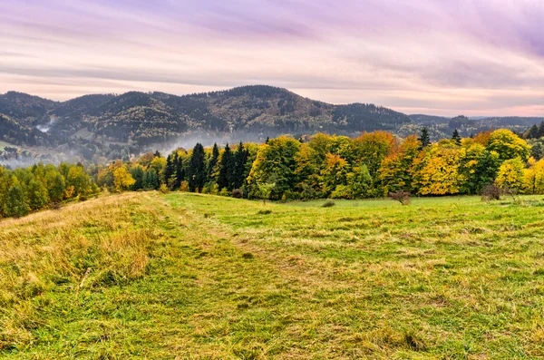 Höstlandskap — Stockfoto