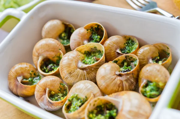 Bourgogne snails — Stock Photo, Image