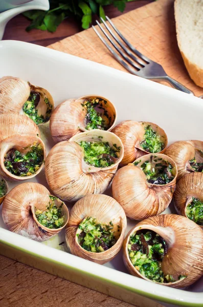 Escargots de Bourgogne — Photo