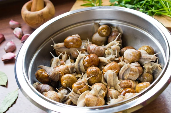 Escargots dans le bol pendant la préparation — Photo