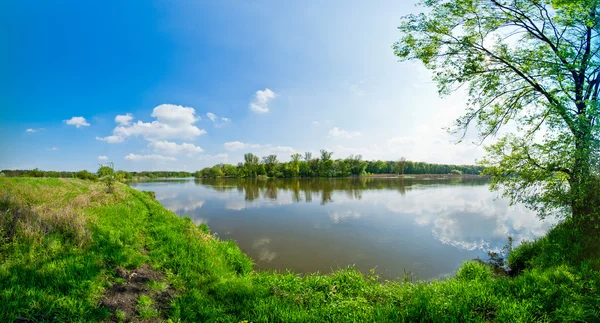 봄 시간 동안 강 — 스톡 사진