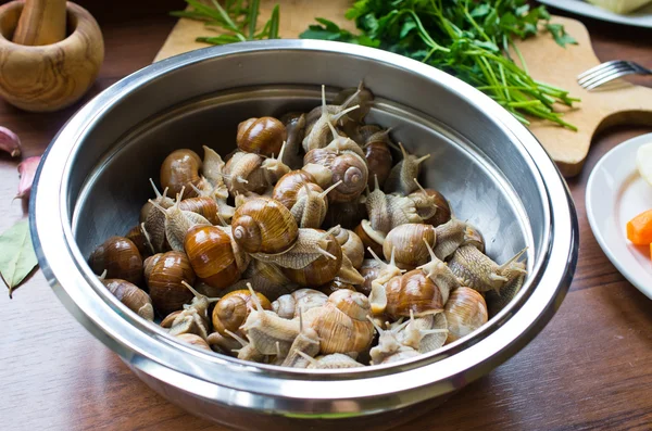 Escargots dans le bol pendant la préparation — Photo