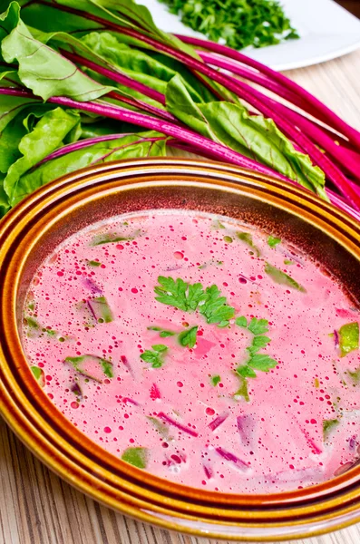 Spring beetroot soup — Stock Photo, Image