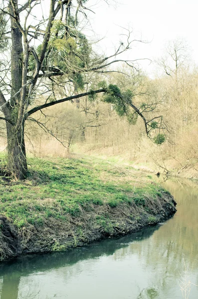 Ročník krajina s řekou — Stock fotografie