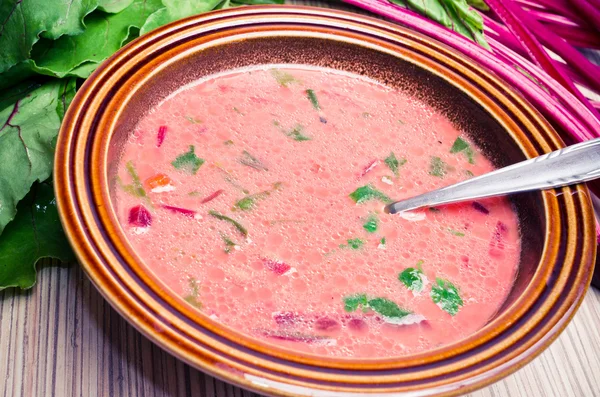Spring beetroot soup — Stock Photo, Image
