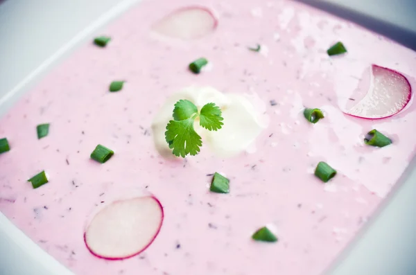 Traditional spring 'cold soup' — Stock Photo, Image