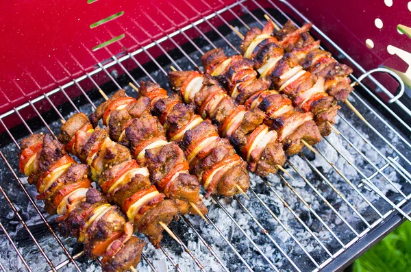 Lezzetli kebab — Stok fotoğraf