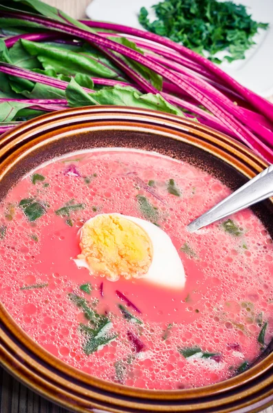 Jarní polévka z červené řepy — Stock fotografie