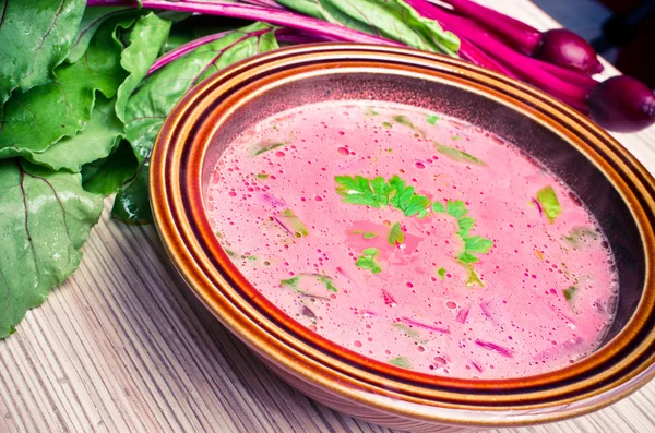 Spring beetroot soup — Stock Photo, Image