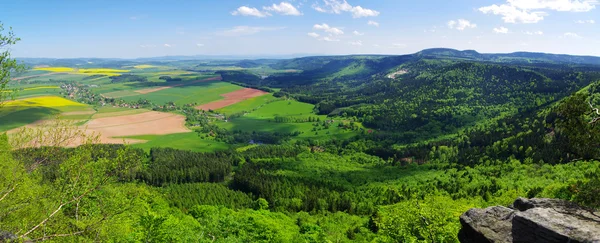 Lente uitzicht op het bos en velden — Stockfoto