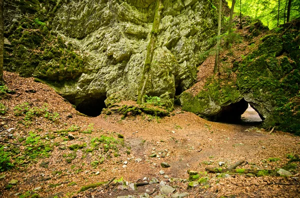 Пещерный вход — стоковое фото