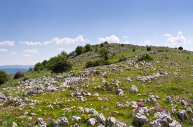 Balkanlar kayalarla kaplı tepeler