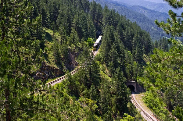 Spoorweg van sharganska osmica in Servië — Stockfoto