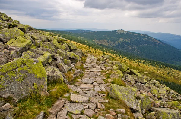 Sökväg i polska karkonosze-bergen, Polen — Stockfoto