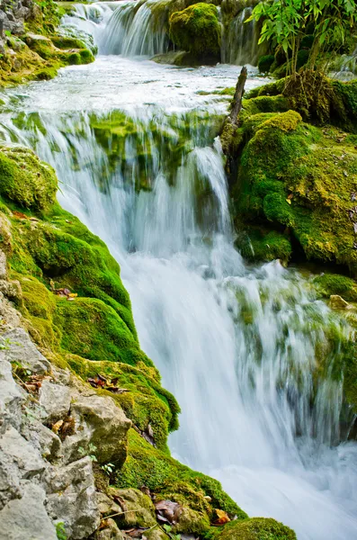 Vattenfall i plitvice lakes park, Kroatien — Stockfoto