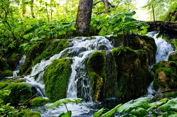 Vízesés a Plitvicei-tavak park, Horvátország — Stock Fotó
