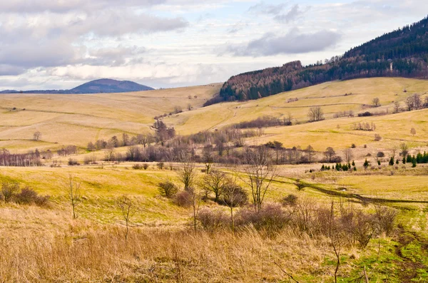 Landscape with autumnal meadows and hills — Stock Photo, Image