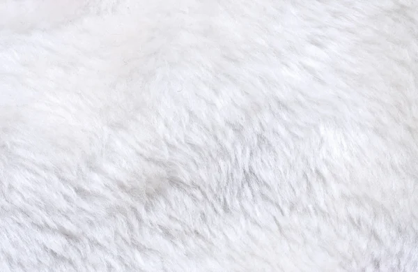 Белый мех — стоковое фото