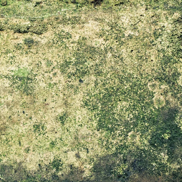 Antigua superficie de la pared musgosa —  Fotos de Stock