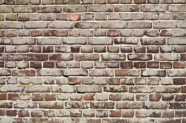 Old wall surface — Stock Photo, Image